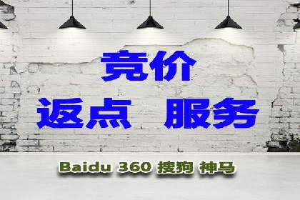 案例研究：SEM开户助力电商快速崛起